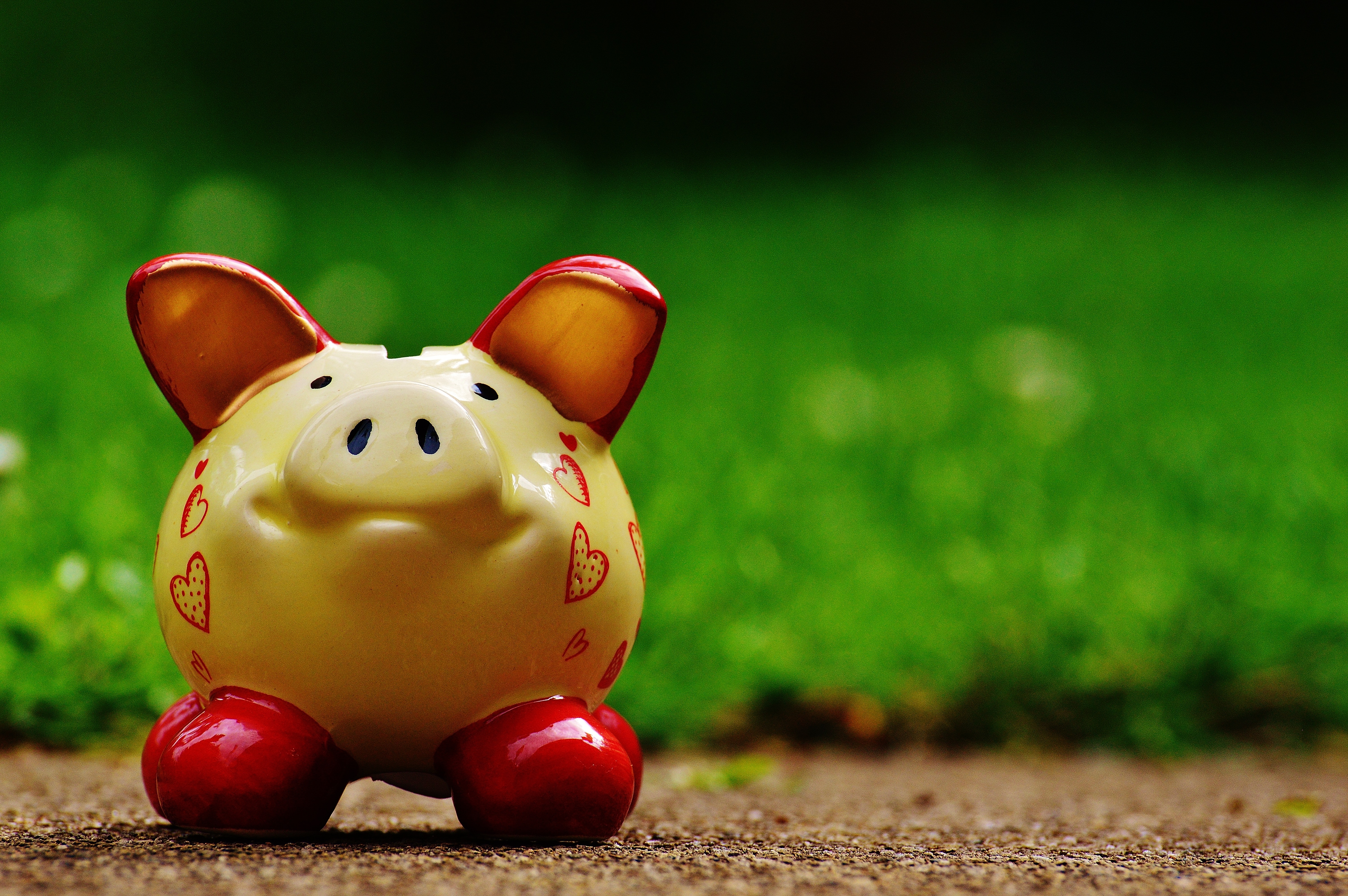 Yellow and red ceramic piggy bank on the ground in front of grass
